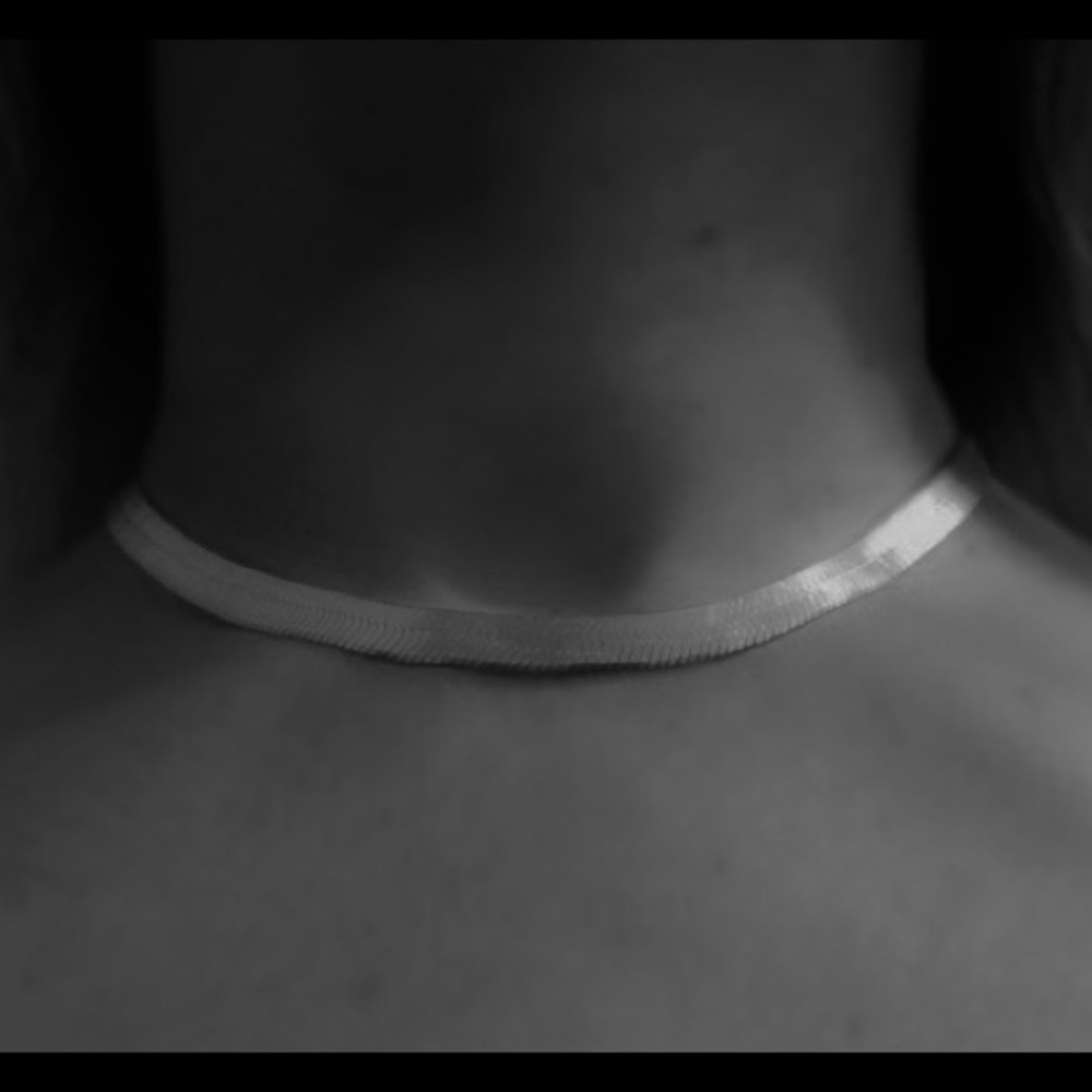 Silver fishbone chain choker
